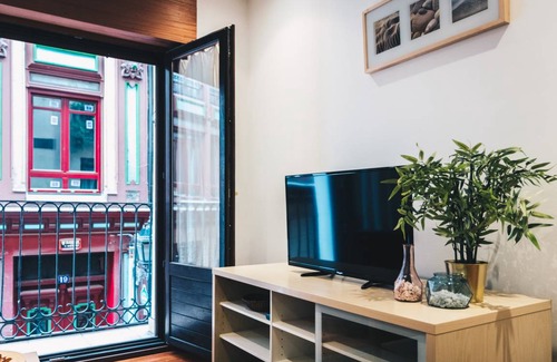 Bilbao Old Town Apartment | 45 m² Apartment ∙ 1 bedroom ∙ 3 guests