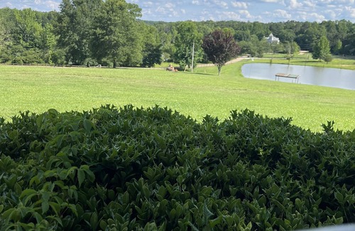 Langston Mile Village Villa | 4BR Lakeside Villa. Minutes from Ole Miss campus and The Square