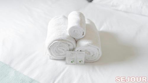 Pantin Apartment | 5 minutes du Zénith - Studio Chic