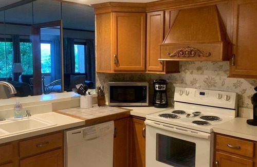 Chalet Village Apartment | 5 Star 3 bd 3ba Serenity Views w Pool Fireplace