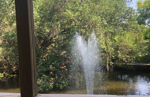 South Sarasota Cottage | 5 star Guest House heated pool on the water!