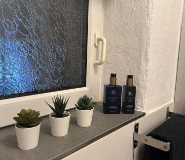 Schramberg Apartment | 5 Sterne Ferienwohnung im Schwarzwald Schramberg