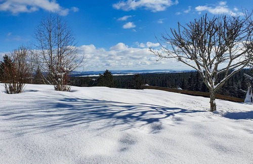 Eisenbach Apartment | 50 m² Apartment ∙ 2 bedrooms ∙ 4 guests