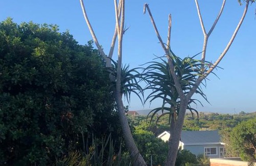 Cannon Rocks Apartment | 500 on Alice