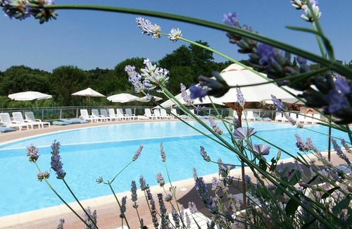 Guardistallo Other | 52 m² Accommodation ∙ 2 bedrooms ∙ 6 guests