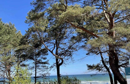 Binz Apartment | 52 m² Apartment ∙ 1 bedroom ∙ 2 guests