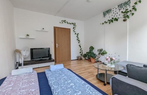 Villingen-Schwenningen Apartment | 6 people Vacation Apartment In The Black Forest