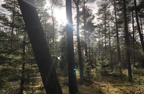 Øksenmølle House | 6 person holiday home in Ebeltoft