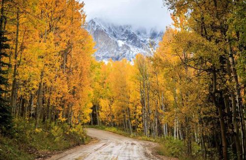 Pagosa Highlands House | 60 Lilac Court