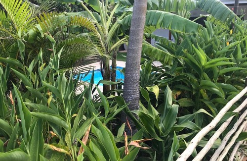 St. Lucia Villa | 62 Hornbill Street