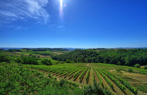 San Gimignano Apartment | 65 m² Apartment ∙ 2 bedrooms ∙ 4 guests