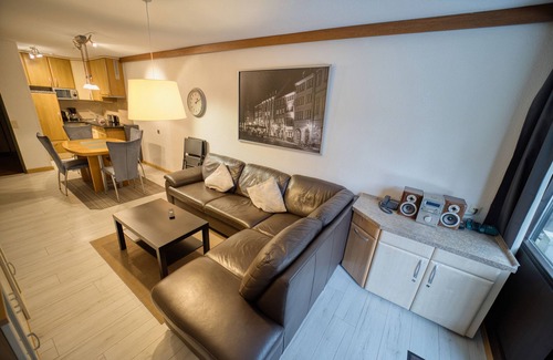 Feldberg Apartment | 711 - Classic | 55 sqm 1,5 room (with Hochschwarzwaldkarte) - Ferienwohnungen am