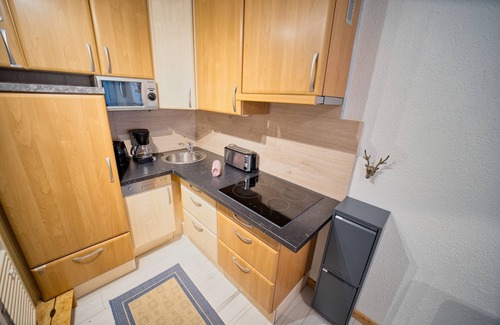 Feldberg Apartment | 711 - Classic | 55 sqm 1,5 room (with Hochschwarzwaldkarte) - Ferienwohnungen am