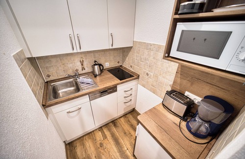 Feldberg Apartment | 724 - Premium | 55 sqm 1,5 room (with Hochschwarzwaldkarte) - Ferienwohnungen am