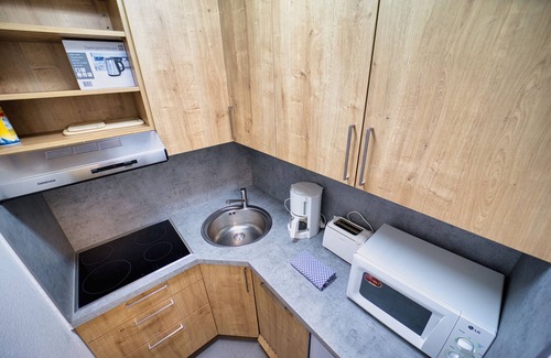 Feldberg Apartment | 726 - Premium | 55 sqm 1,5 room (with Hochschwarzwaldkarte) - Ferienwohnungen am