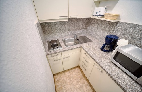 Feldberg Apartment | 728 - Standard | 55 sqm 1,5 room (with Hochschwarzwaldkarte) - Ferienwohnungen am
