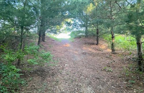 Thompsonville House | 8 Acres on Betsie River River front Trails Disc golf