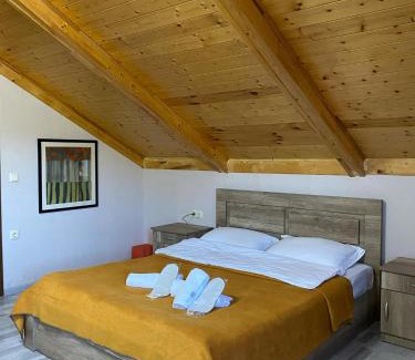 Mtskheta Hotel | 8 rooms