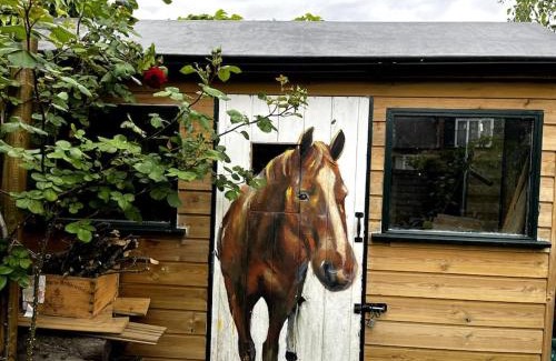 Tulse Hill House | A beautiful and welcoming home and garden