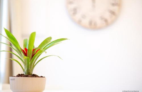 Gorgonzola Apartment | A CASA DI PATTY