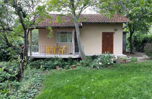 Primorski House | A charming and peaceful summer villa 400m from the sea