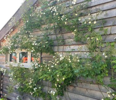 Rendham House | A family and dog friendly haven, The Hayloft.