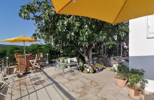 La Rouviere House | A fig tree and a pretty house.