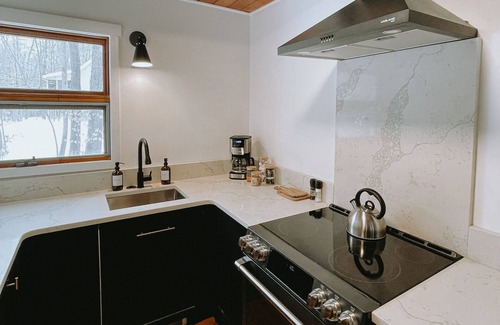 Pocono Pines Ski Chalet | a modern chalet for rest and recreation