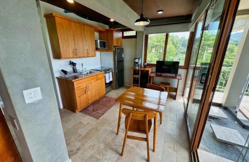 White Rock Hills Apartment | A Modernist Paradise Overlooking The Caribbean Sea,