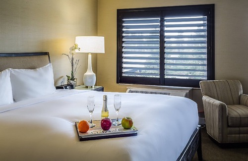 Cupertino Hotel | A Place You'll Surely Enjoy! Pets Allowed, Free Breakfast and Parking, Pool