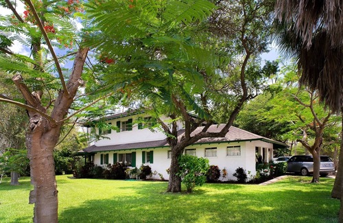 Mitte Cultural District House | A Wonderful Time Events, Mid Century Modern Historic Palm Blvd