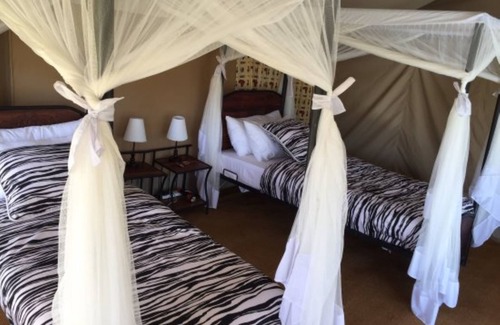 Tarangire National Park Other | Acacia Tarangire Luxury Camp