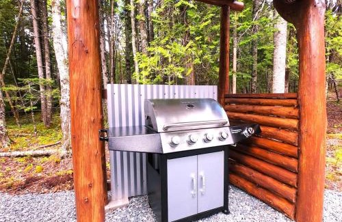 Gouldsboro Ski Chalet | Acadia forest cabin