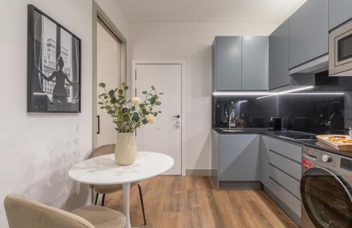 Chamberi Apartment | Accessible 2-Single Bed Apartment in Chamberí Adapted Bathroom, Quevedo III
