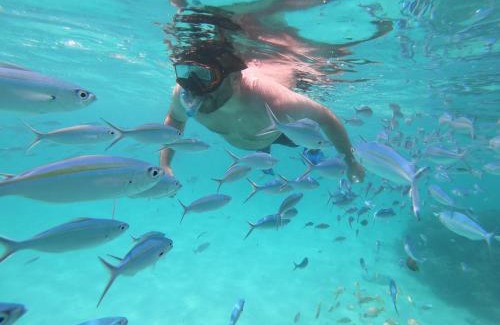 Rasdhoo House | Acqua Blu Rasdhoo