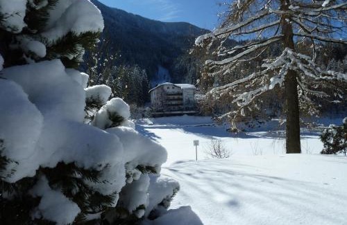 Bedollo Hotel | Active Hotel Pineta
