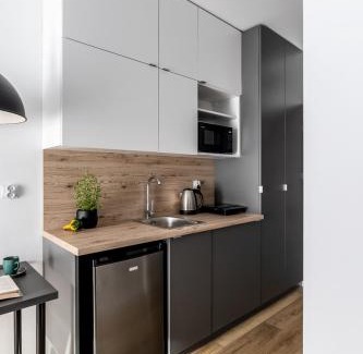 Lodz Apartment | ADLER Studio