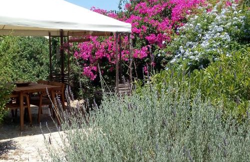 Aegina House | Aegina's Oasis