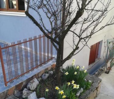 Cervignano del Friuli House | Affittacamere Stazione 24