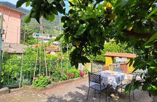 Cinque Terre Apartment | Affittacamere Sophie