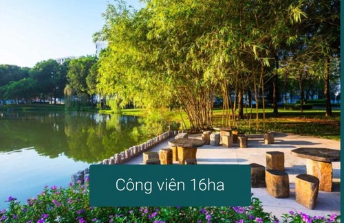 Tan Phu District Apartment | AGAAPI