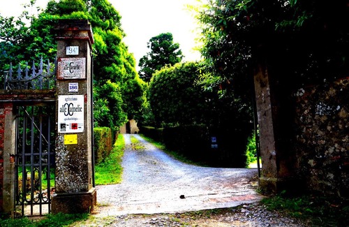 Pieve di Compito House | Agriturismo Alle Camelie