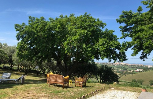 Bettolelle House | Agriturismo - Apis in tabula