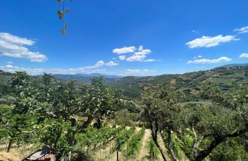 Prignano Cilento House | Agriturismo Baccanale