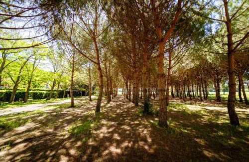 Grosseto Apartment | Agriturismo Bio Femminella