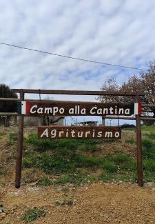 Gavorrano Apartment | Agriturismo Campo alla Cantina appartamento Ginestra
