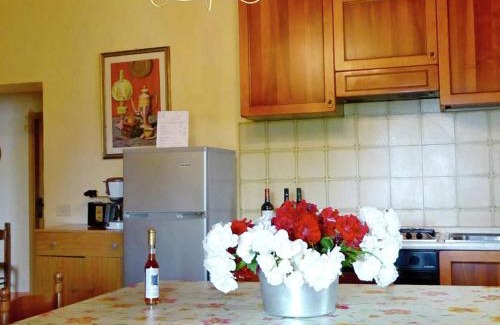 San Gimignano Apartment | Agriturismo Fattoria Il Piano - Appartamento Antica Cucina - San Gimignano