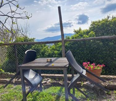Vetulonia House | Agriturismo Fontevecchia