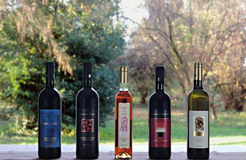 Faenza House | Agriturismo Gallegati
