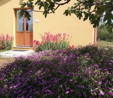 Senigallia House | Agriturismo I Ciliegi Appartamento Ginestra